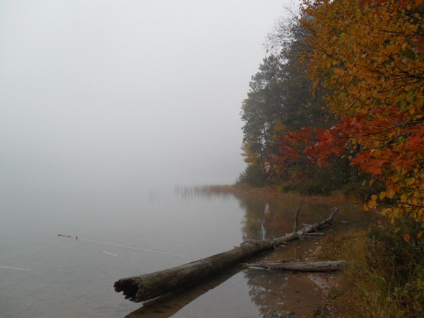 Foggy morning on Moccasin Lake 