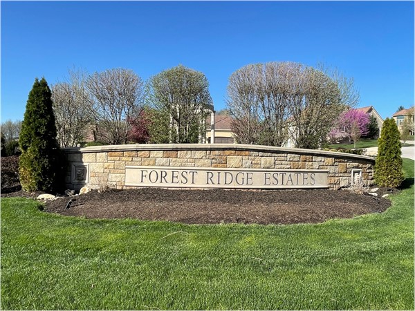 Stone entry marker for Forest Ridge Estates