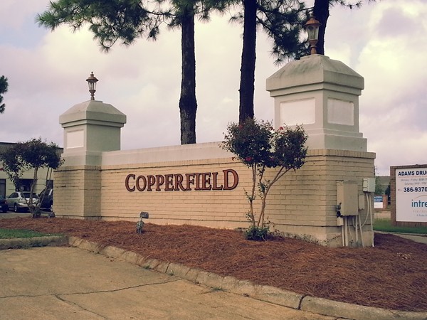 Copperfield,, nestled but very convenient to evetything in east Montgomery