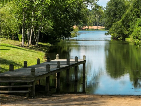 Private boat launch to the serene lake in the gated community Lakeside on Long Lake