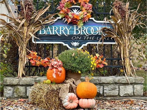 Located off of Barry Road near I-29, Barry Brooke on the Lake is tucked away with beautiful views