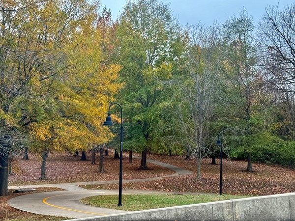 Scull Creek Trail (part of Razorback Greenway) near Washington Regional Medical Center