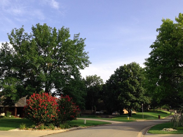 Willow West neighborhood is perfect for running, winding roads, small hills and lots of mature trees