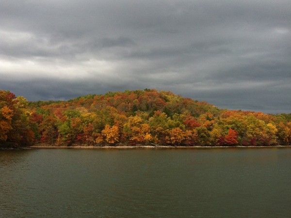 Fall colors the shoreline at Lake of the Ozarks - even a bad day at the Lake is a good day!