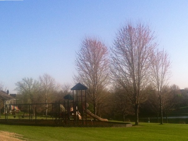 Playground at the Lake of Louisburg