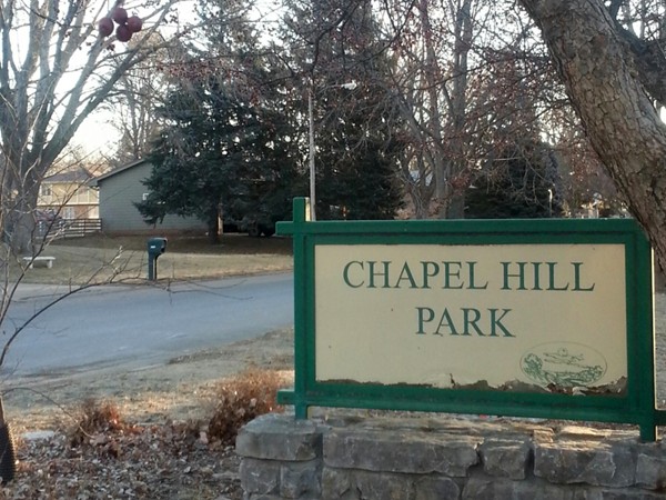 Chapel Hill's neighborhood park, pool and pavilion