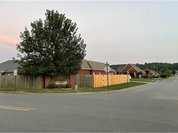 Quiet subdivision in Conway near schools, UCA, many restaurants, and a short drive to interstate