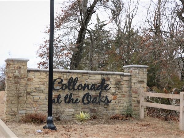 Collonade at the Oaks in Newalla still has open lots to build your dream home on  