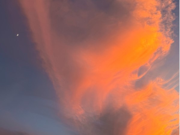 Golden skies over Morrow Place – a calm and beautiful sunset