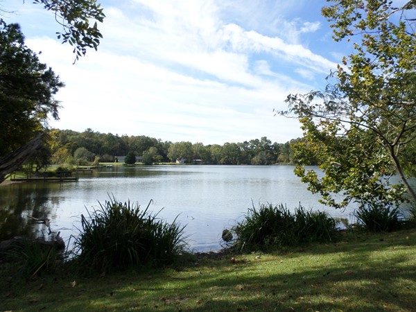 Nice lake in Sunnybrook