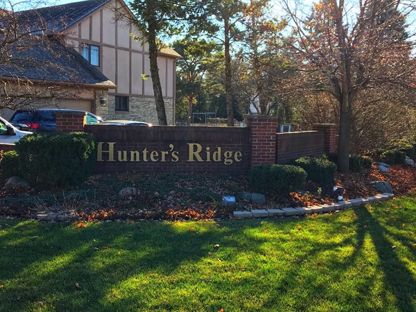 Hunter's Ridge entrance - off Dequindre Road, south of 19 Mile Road