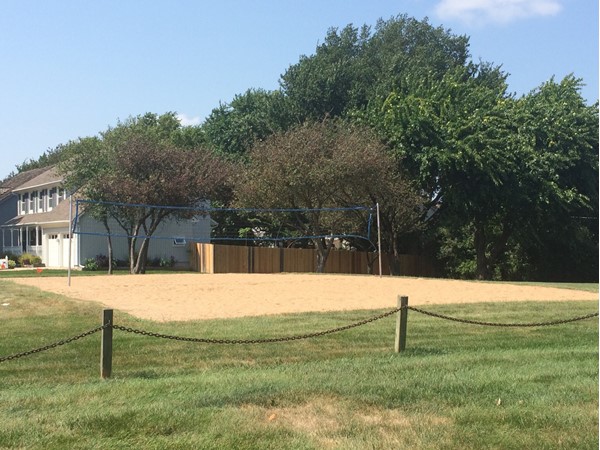 Great volleyball court