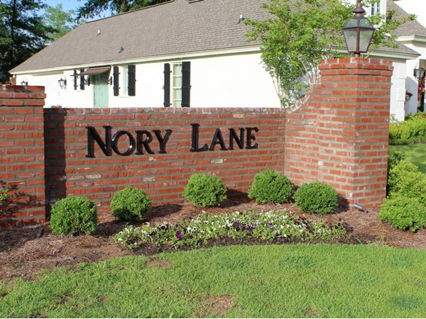 Nory Lane in Belle Pointe Subdivision offers luxury living with affordable prices