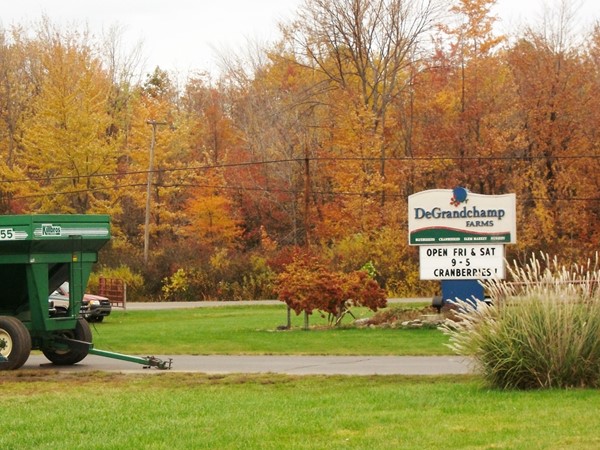 DeGrandchamp Farms has been open since 1958