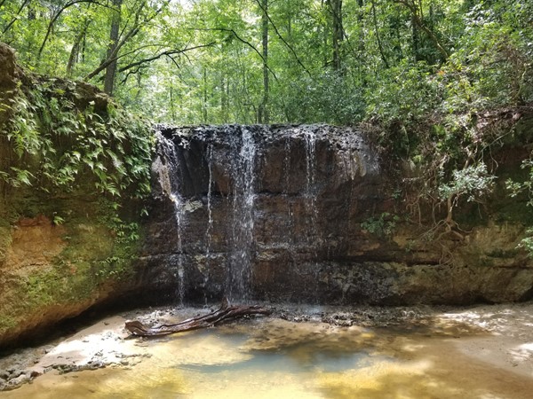 This hidden gem is right off the beaten path in Daleville, what beauty Alabama holds