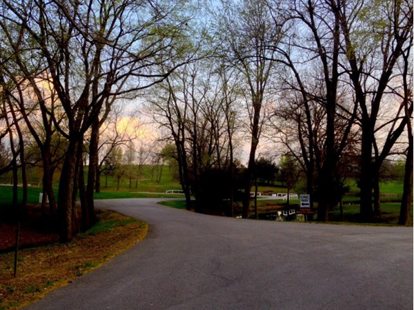 Evening walk through the park.