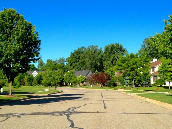 Wide streets and large unique homes in the Arboretum community 