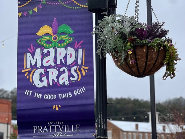 Want a great family fun day to celebrate Mardi Gras?  Come to Prattville!