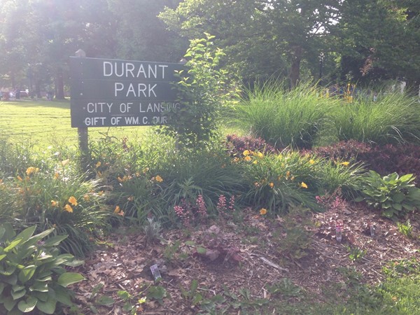 Time for some summer park fun at Durant Park