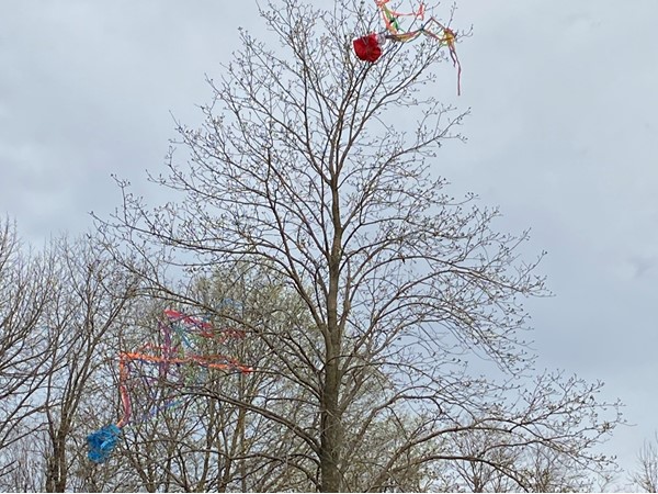 Be careful with kites on windy Colfax days