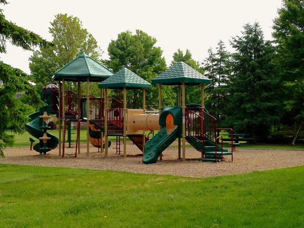 The neighborhood play area right in the center of this community, surrounded by trees