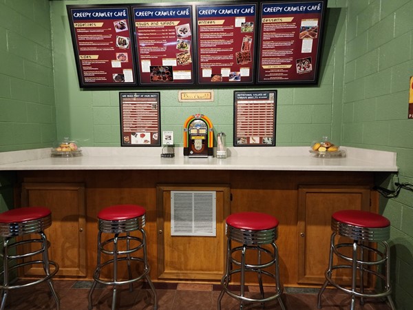 Educational table and display at the Topeka Zoo