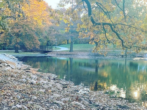 Fall in Antioch Park is so pretty