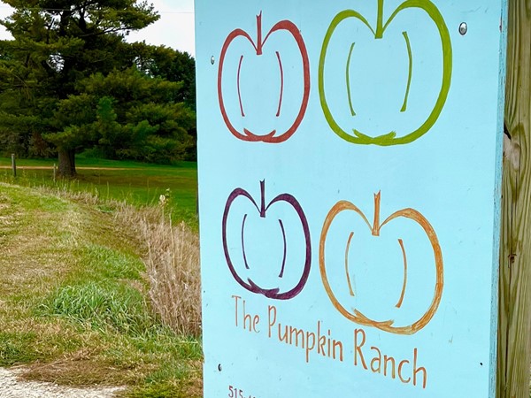 The Pumpkin Ranch is a fun place to spend a fall afternoon