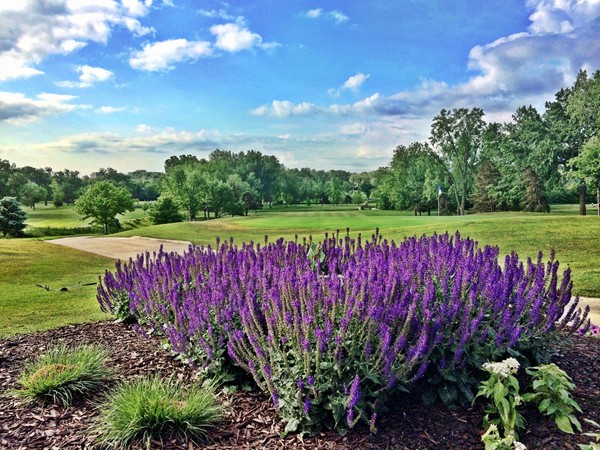 Overland Park offers many venues for golf membership, both public and private