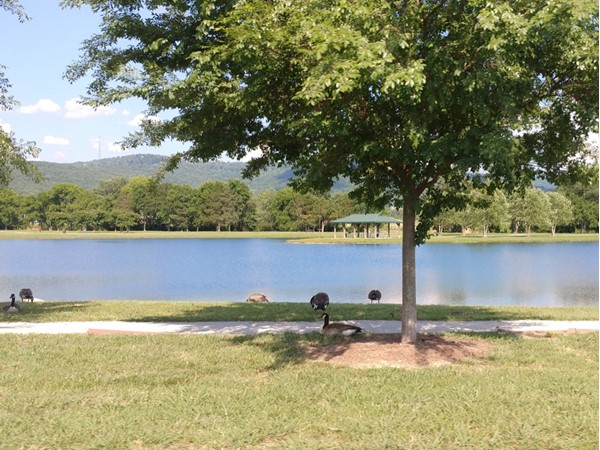 Beautiful view of the pond at the Lendon Development in Jones Valley 