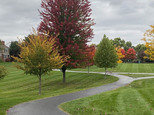 Millbrook Park is a five acre park in North Fairview Farms