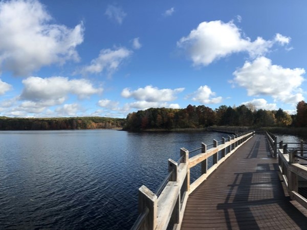 A beautiful view from the boardwalk at Pickerel Lake. Wonderful trails and scenery
