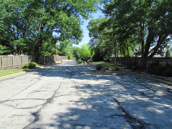 Tree lined entrance to Williamsbrook from 75th Street