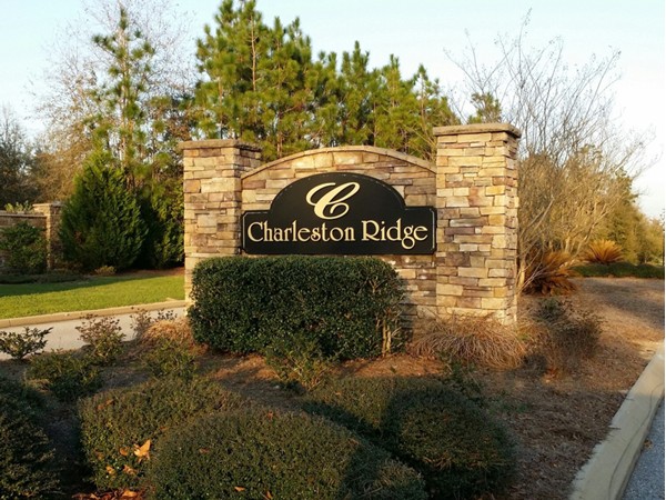 Charleston Ridge: A new home development in Saraland