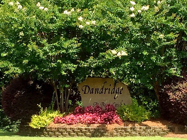 Dandridge, a great neighborhood with a great pool