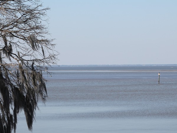 The Lake Forest Yacht Club has a breath taking view of Mobile Bay.  
