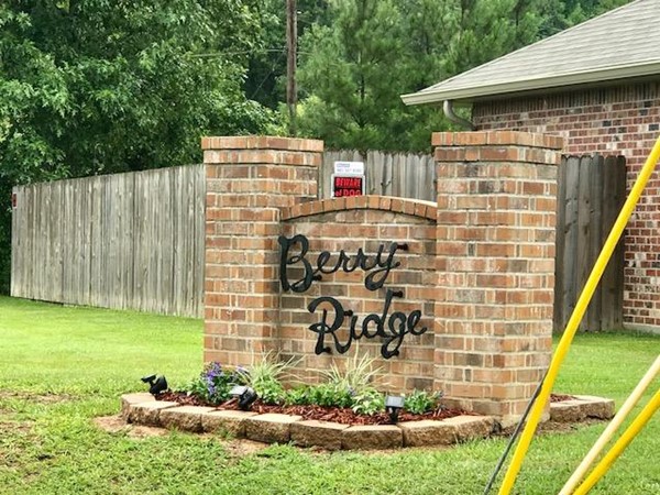 Welcome to Berry Ridge