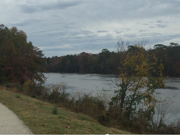 View of the Black Warrior River from The Levee Bar and Grill