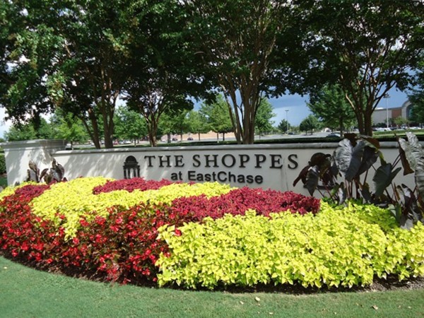 Shop til you drop at the Shoppes at East Chase