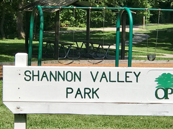 Shannon Valley community play area and green space