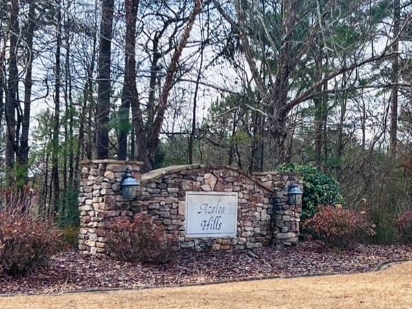 Azalea Hills Subdivision, Oneonta