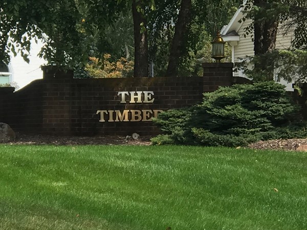 Welcome to The Timber
