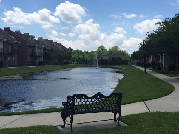 Awesome location. Beautiful condos at The Lakes at Bluebonnet 