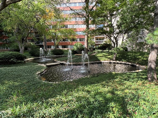 View of the garden pond and fountains