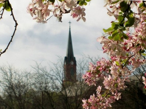 St. Peter's welcoming spring