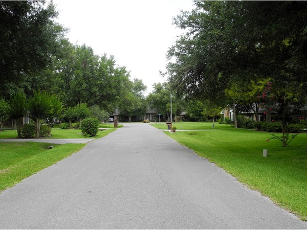 Oakshire Estates - scenic subdivision with large lots and spreading live oaks