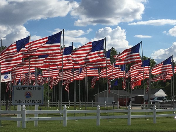 Cedar Falls AMVET Post 49 Avenue of Flags is a stunning tribute to those who have served  