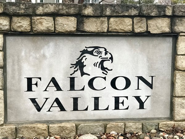 Welcome to Falcon Valley