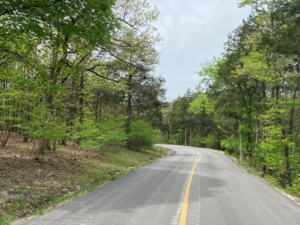 Beautiful drive into Oak Bluff subdivision