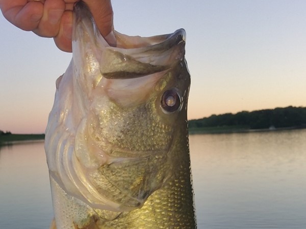 Sunset is the best time to Bass fish at Riss Lake